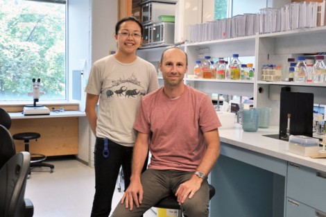 PhD student, Janice Ting and U of T researcher and professor, Dr. Asher Cutter in the lab. PHOTO COURTESY OF U OF T NEWS